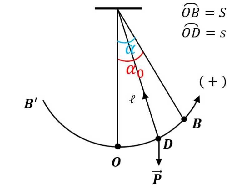 Con Lac Don Va Cau Tao Cua No