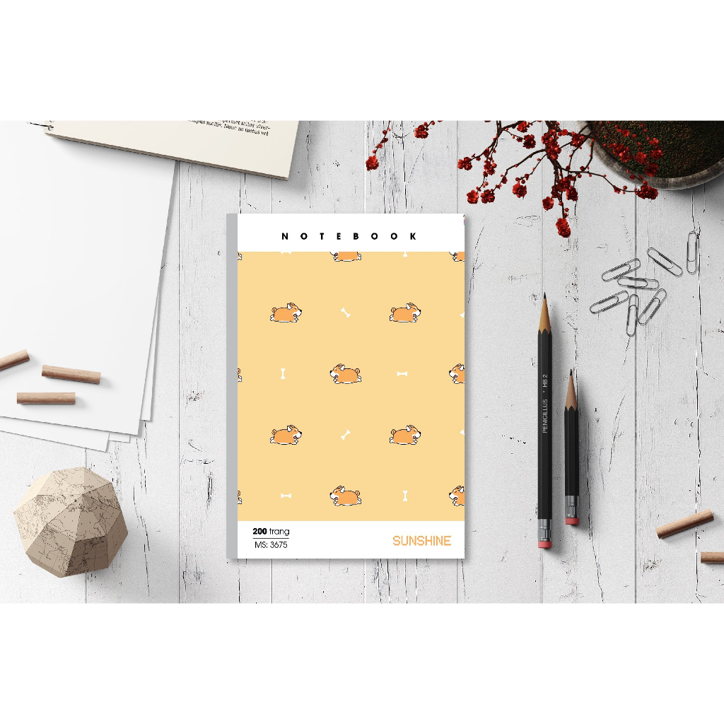 hai tien so may gay sunshine a4 400 trang loc 1 quyen